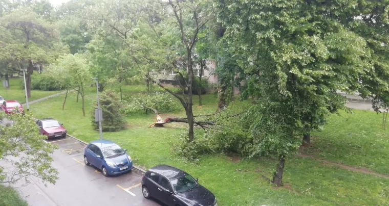 Olujni vjetar poharao Zagreb: Čupao drveće, prometne znakove, nosio krovove, ozlijeđeno dvoje ljudi
