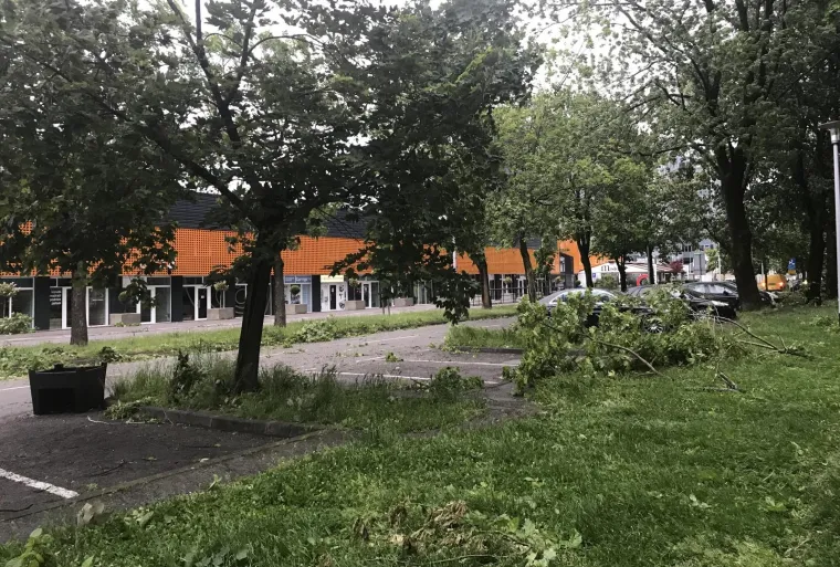 ORKANSKO NEVRIJEME HARA ZAGREBOM: Sru&scaron;ene grane i stabla po ulicama