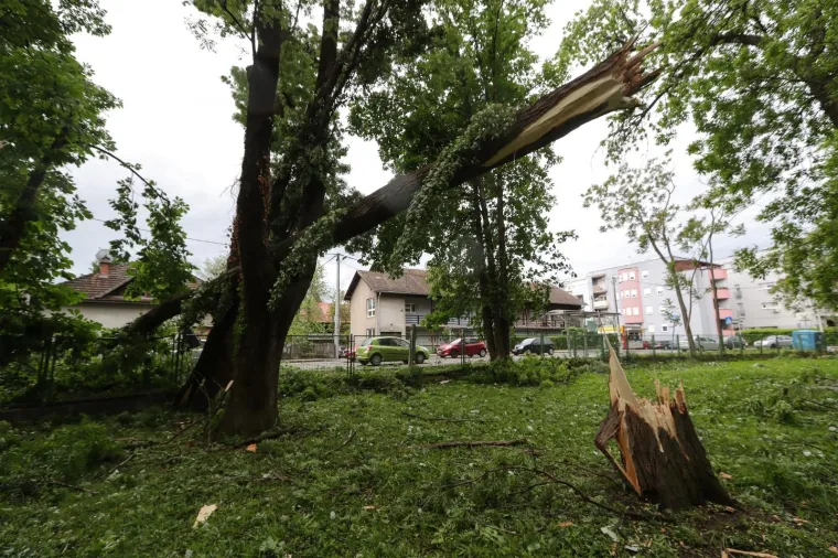 Olujni vjetar poru&scaron;io je stoljetna stabla u parku psihijatrijske bolnice Vrapče.