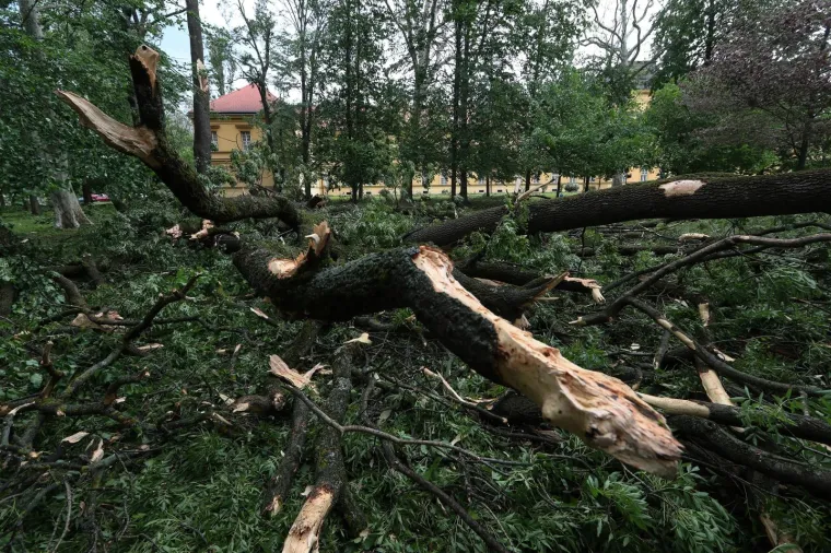 OLUJNO NEVRIJEME POKOSILO ZAGREB: Fotografije otkrile &scaron;tetu koju je prouzročio jak vjetar, stradao i poznati lokal u Tkalči