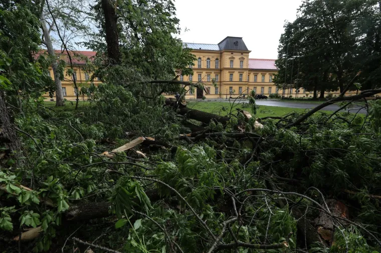 OLUJNO NEVRIJEME POKOSILO ZAGREB: Fotografije otkrile &scaron;tetu koju je prouzročio jak vjetar, stradao i poznati lokal u Tkalči
