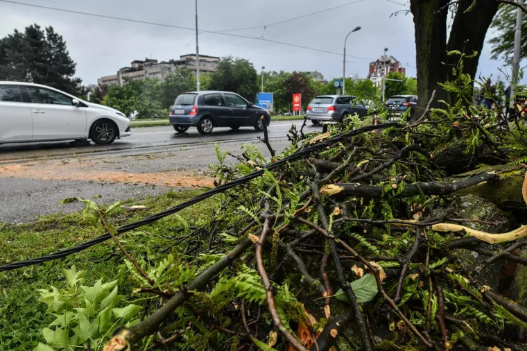 Vjetar srušio stablo na tramvajsku prugu