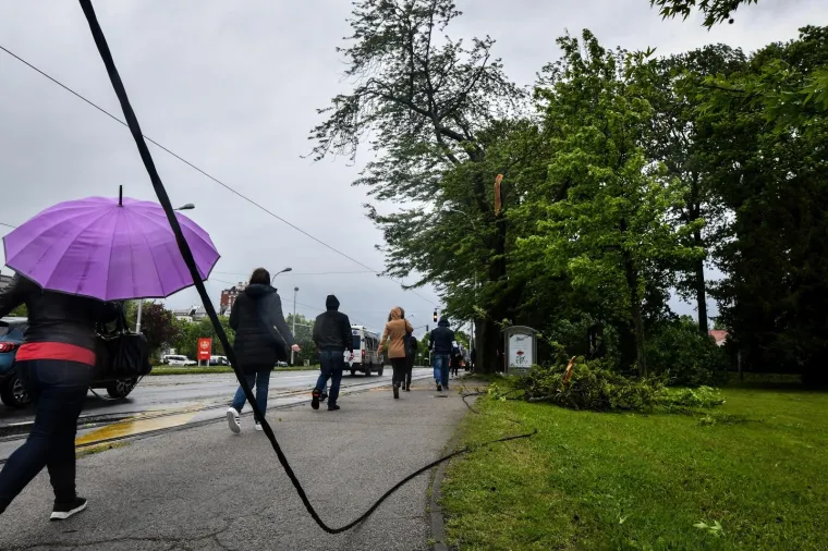 Vjetar srušio stablo na tramvajsku prugu