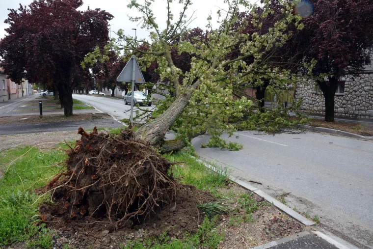 Orkanski vjetar razvalio dijelove zemlje, zbraja se materijalna &scaron;teta