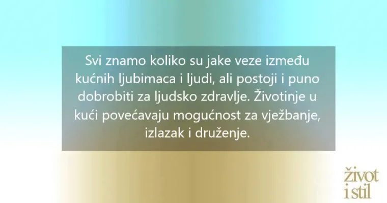 8 načina kako kućni ljubimci mogu pobolj&scaron;ati va&scaron;e zdravlje