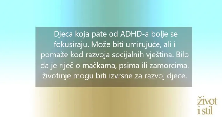 8 načina kako kućni ljubimci mogu pobolj&scaron;ati va&scaron;e zdravlje