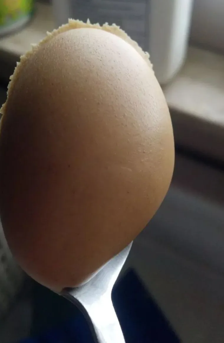 FOODPORN na 20 fotografija, odmah vas upozoravamo da ćete ogladnjeti