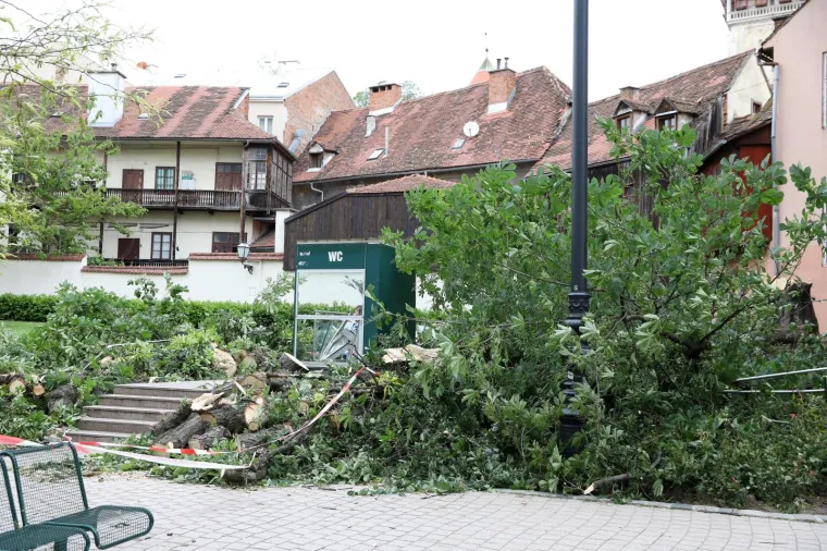 ZBOG JAKOG VJETRA PALO STABLO NA ULAZ U JAVNI WC U CESARČEVOJ: Građanin koji je u to vrijeme obavljao nuždu ostao zarobljen
