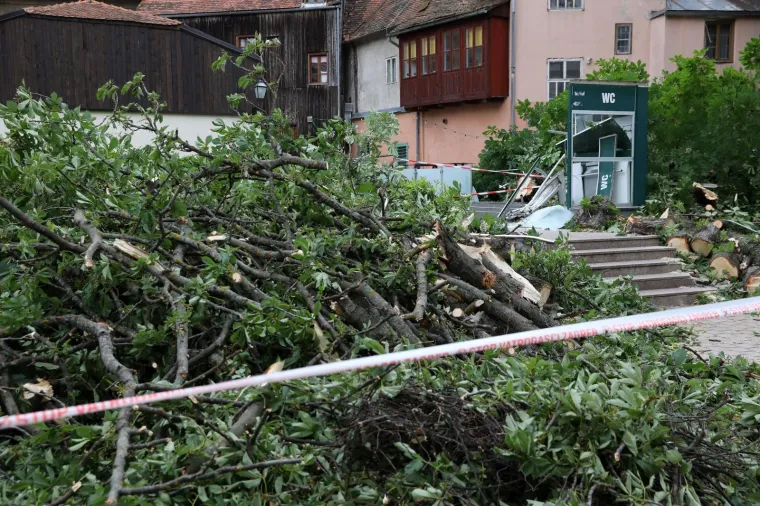 ZBOG JAKOG VJETRA PALO STABLO NA ULAZ U JAVNI WC U CESARČEVOJ: Građanin koji je u to vrijeme obavljao nuždu ostao zarobljen