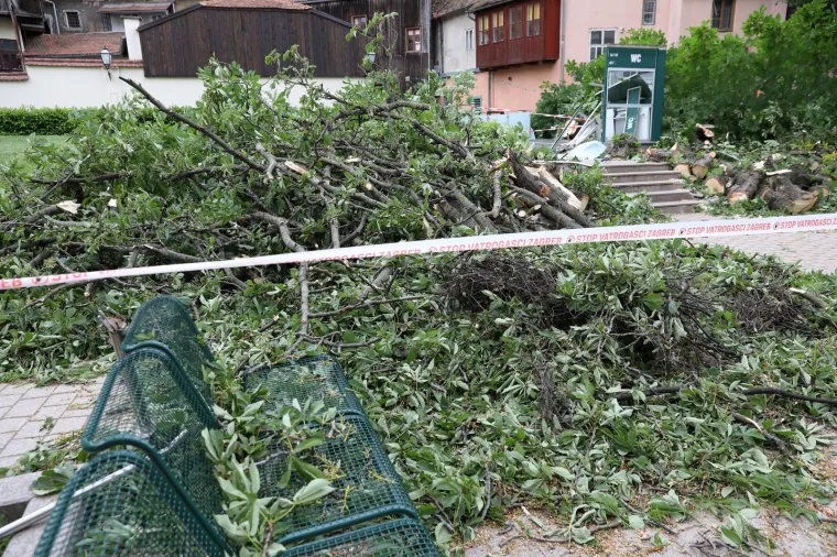 ZBOG JAKOG VJETRA PALO STABLO NA ULAZ U JAVNI WC U CESARČEVOJ: Građanin koji je u to vrijeme obavljao nuždu ostao zarobljen