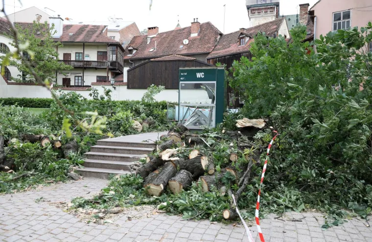 ZBOG JAKOG VJETRA PALO STABLO NA ULAZ U JAVNI WC U CESARČEVOJ: Građanin koji je u to vrijeme obavljao nuždu ostao zarobljen