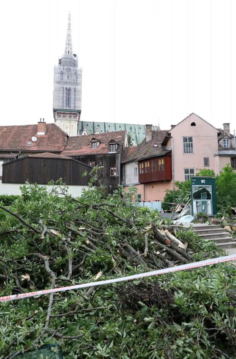 ZBOG JAKOG VJETRA PALO STABLO NA ULAZ U JAVNI WC U CESARČEVOJ: Građanin koji je u to vrijeme obavljao nuždu ostao zarobljen