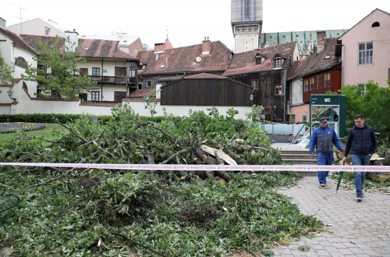 ZBOG JAKOG VJETRA PALO STABLO NA ULAZ U JAVNI WC U CESARČEVOJ: Građanin koji je u to vrijeme obavljao nuždu ostao zarobljen