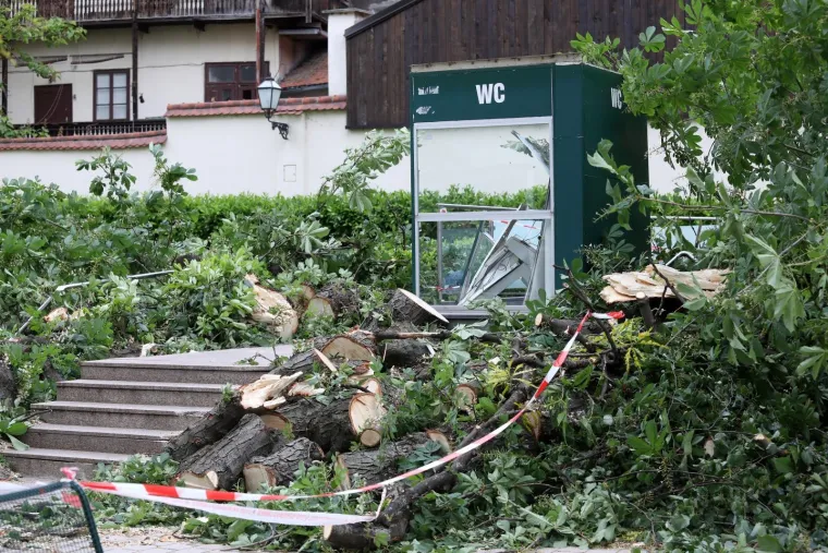 ZBOG JAKOG VJETRA PALO STABLO NA ULAZ U JAVNI WC U CESARČEVOJ: Građanin koji je u to vrijeme obavljao nuždu ostao zarobljen