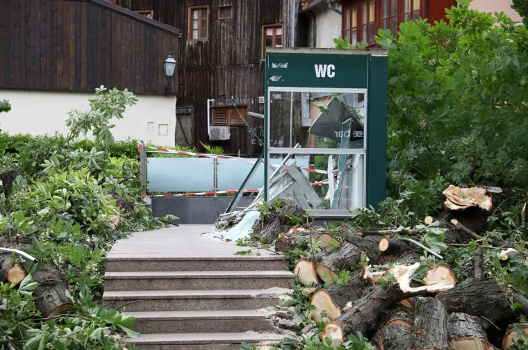 ZBOG JAKOG VJETRA PALO STABLO NA ULAZ U JAVNI WC U CESARČEVOJ: Građanin koji je u to vrijeme obavljao nuždu ostao zarobljen