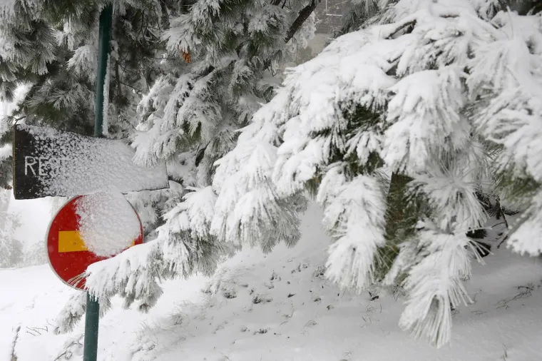 Sljeme pod bijelim pokrivačem: Snijeg usred proljeća iznenadio Zagrepčane