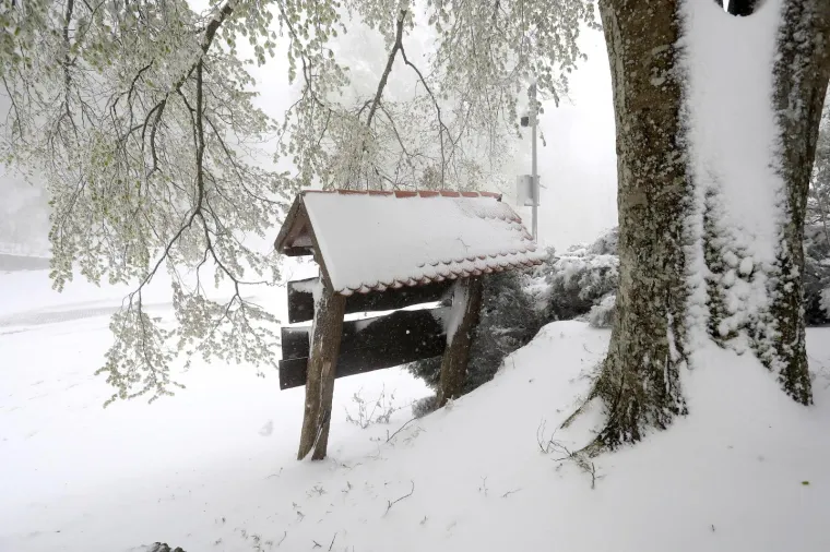 Sljeme pod bijelim pokrivačem: Snijeg usred proljeća iznenadio Zagrepčane