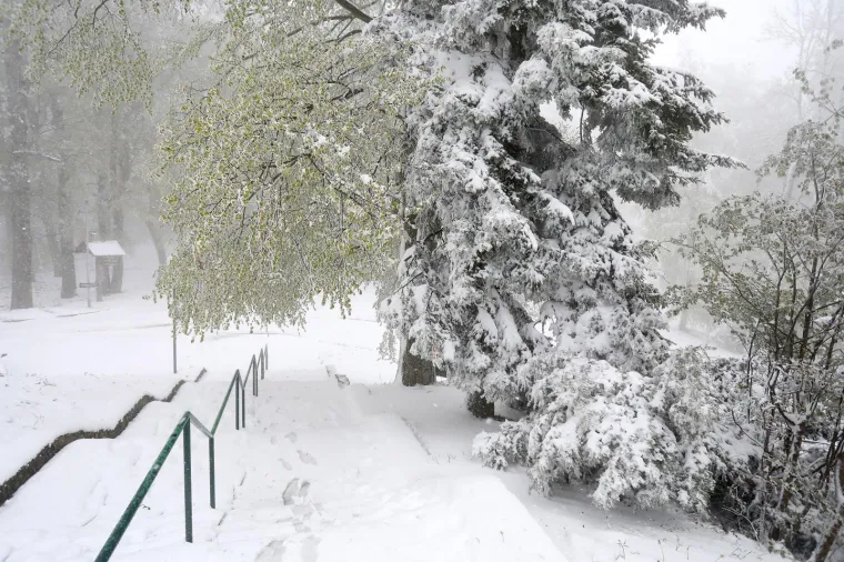 Sljeme pod bijelim pokrivačem: Snijeg usred proljeća iznenadio Zagrepčane