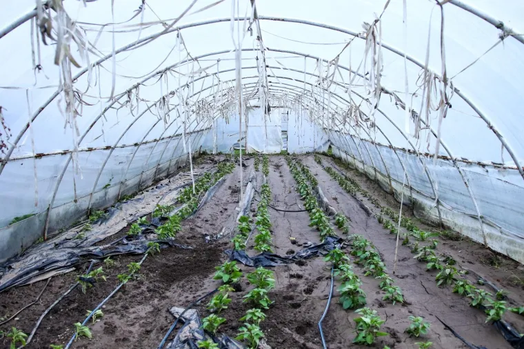 Visoki vodostaji i dalje prijete na sjeveru BiH: U Maglaju se zabraja &scaron;teta nakon nevremena