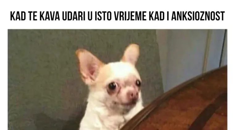 20 mema s kojima će se poistovjetiti svatko tko pati od depresije ili anksioznosti