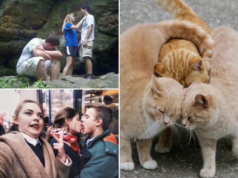 Dobro jutro tugo: Slike koje savr&scaron;eno opisuju kako je to biti 'treći kotač' u nečijoj vezi