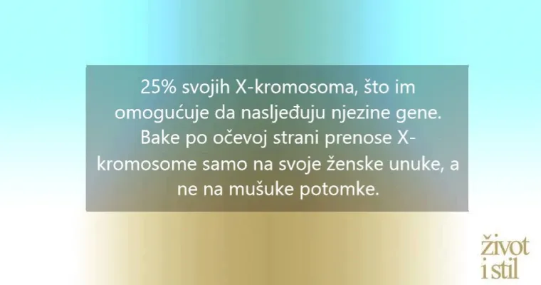 Djeca većinu gena nasljeđuju od bake s majčine strane?