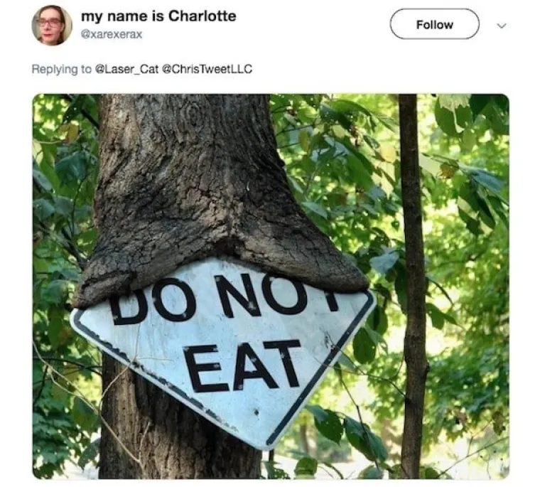 ODLUČILI SU SA SVIJETOM PODIJELITI NAJBIZARNIJE FOTOGRAFIJE KOJE IMAJU U MOBITELU: Od nekih nam je lo&scaron;e