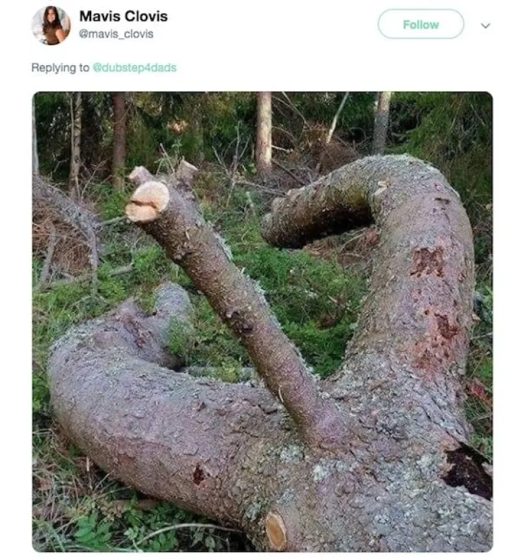 ODLUČILI SU SA SVIJETOM PODIJELITI NAJBIZARNIJE FOTOGRAFIJE KOJE IMAJU U MOBITELU: Od nekih nam je lo&scaron;e