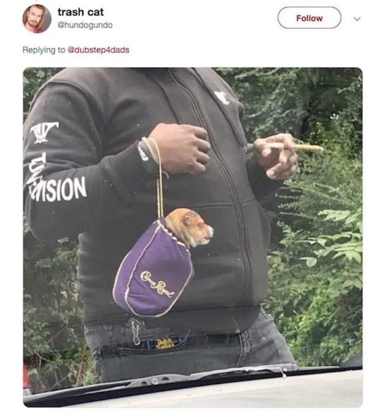 ODLUČILI SU SA SVIJETOM PODIJELITI NAJBIZARNIJE FOTOGRAFIJE KOJE IMAJU U MOBITELU: Od nekih nam je lo&scaron;e