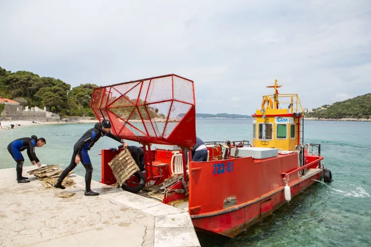 U Dubrovniku održana velika akcija či&scaron;ćenja podmorja: Pogledajte &scaron;to su sve ronioci izvukli na obalu!
