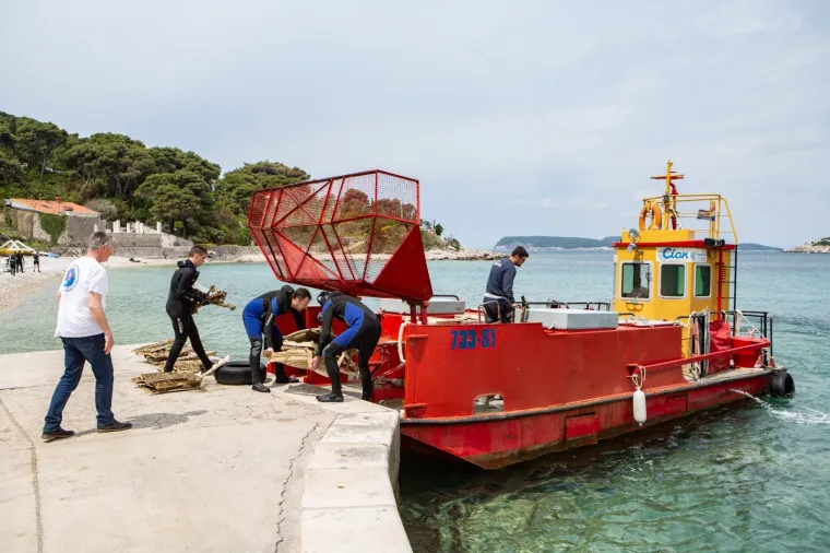 U Dubrovniku održana velika akcija či&scaron;ćenja podmorja: Pogledajte &scaron;to su sve ronioci izvukli na obalu!