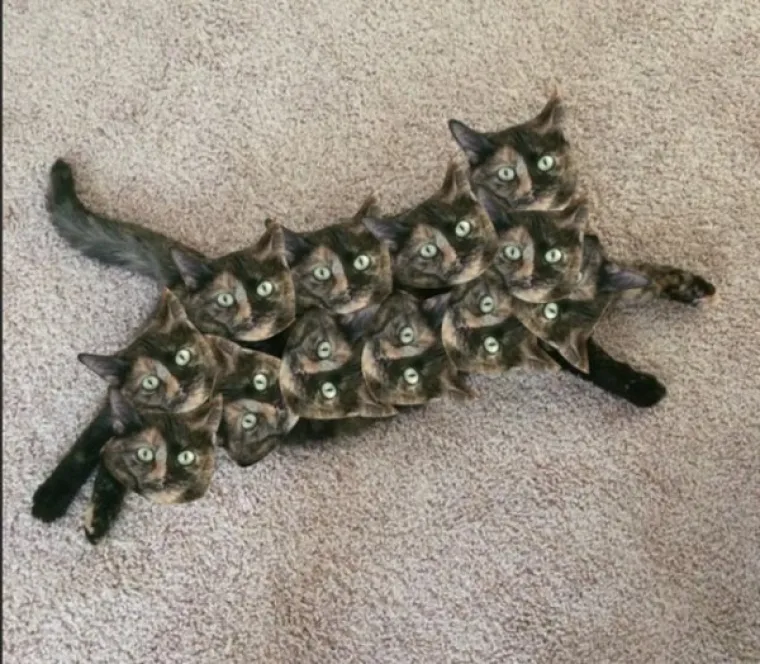 SVE POKU&Scaron;ALI PREVARITI PHOTOSHOPOM, ALI SE NISU BA&Scaron; PROSLAVILI: Tko bi povjerovao u ovakve laži?!