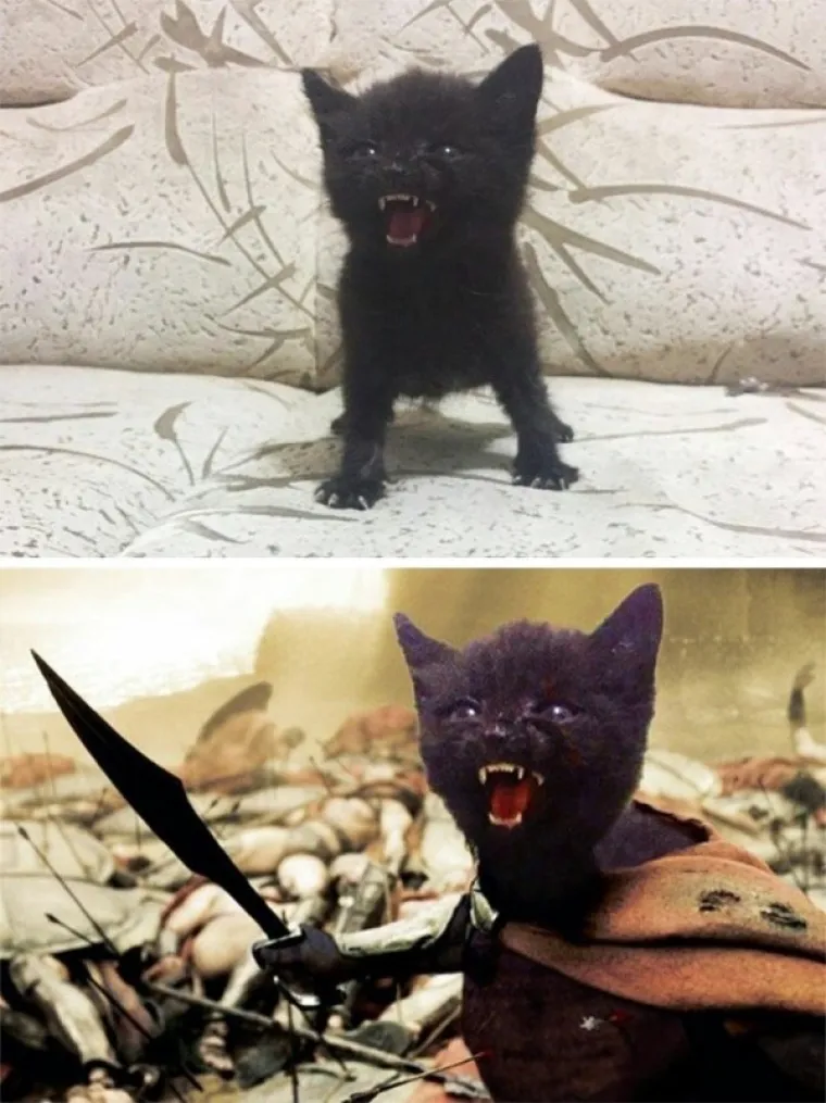 SVE POKU&Scaron;ALI PREVARITI PHOTOSHOPOM, ALI SE NISU BA&Scaron; PROSLAVILI: Tko bi povjerovao u ovakve laži?!