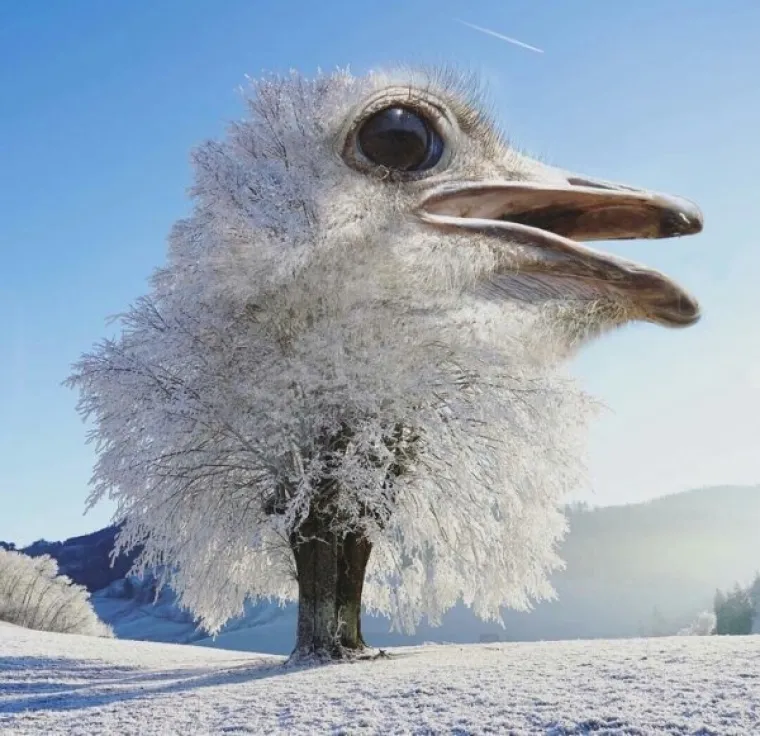 SVE POKU&Scaron;ALI PREVARITI PHOTOSHOPOM, ALI SE NISU BA&Scaron; PROSLAVILI: Tko bi povjerovao u ovakve laži?!