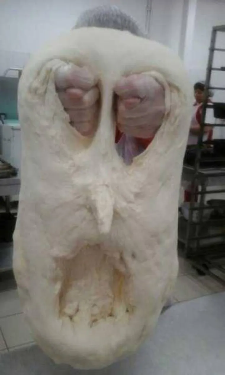 ČIME IH HRANE DA ODRASTU U OVO? S obzirom da je u pitanju Rusija, vjerojatno votkom...