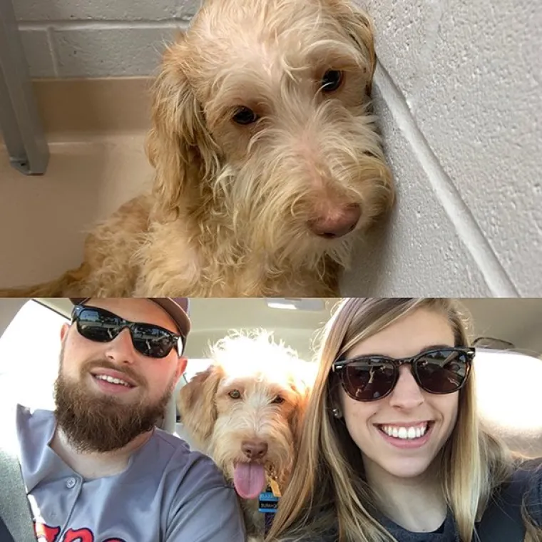 FOTOGRAFIJE GOVORE VI&Scaron;E OD RIJEČI: Pokazali kako su njihovi ljubimci izgledali na dan kad su ih posvojili, a kako izgledaju danas