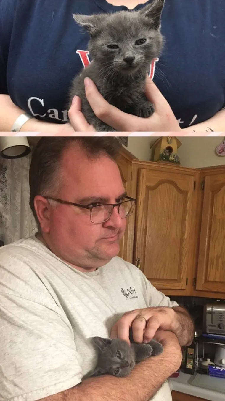 FOTOGRAFIJE GOVORE VI&Scaron;E OD RIJEČI: Pokazali kako su njihovi ljubimci izgledali na dan kad su ih posvojili, a kako izgledaju danas