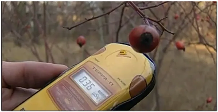 &bdquo;Međutim, ti radijacijski mjehurići postoje i danas. Najveća količina oti&scaron;la je u zrak, a samo je radijacija u blizini tla utjecala na ljude&ldquo;, pojasnio je Muller u svojoj knjizi "Physics for Future Presidents: The Science Behind the Headlines".
