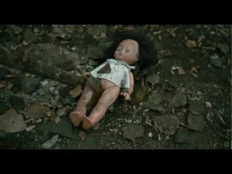 Osoba čije cijelo tijelo bude ozračeno s dozom od 100 rema vjerojatno neće imati nikakvih posljedica. S 200 rema, čovjek može dobiti radijacijsko trovanje, a posljedice su slične s onima koje imaju osobe koje primaju kemoterapiju &ndash; gubitak kose, mučnina, depresija... Oni koji su ozračeni s 300 rema, kao vatrogasci u Černobilu, imaju velike &scaron;anse da će umrijeti, osim ukoliko hitno ne prime transfuziju krvi, napisao je Muller.