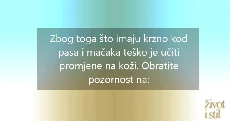 I kućni ljubimci mogu oboljeti od melanoma: ovo su simptomi raka kože kod pasa i mačaka