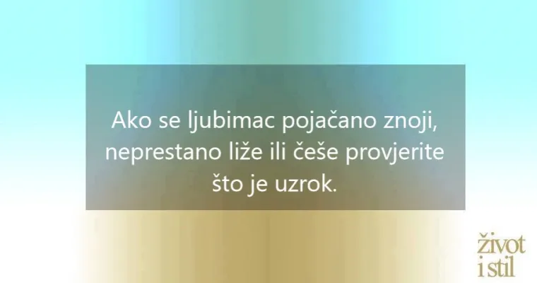 I kućni ljubimci mogu oboljeti od melanoma: ovo su simptomi raka kože kod pasa i mačaka