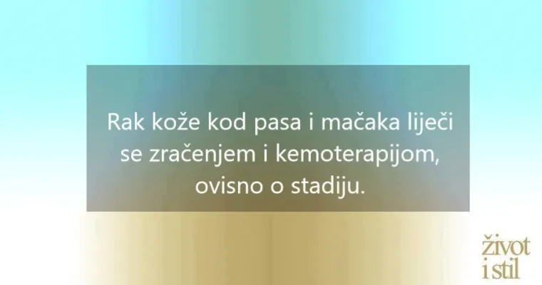 I kućni ljubimci mogu oboljeti od melanoma: ovo su simptomi raka kože kod pasa i mačaka