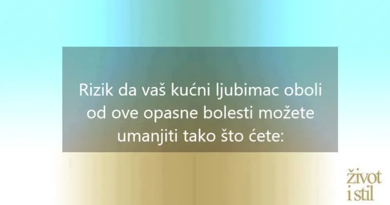 I kućni ljubimci mogu oboljeti od melanoma: ovo su simptomi raka kože kod pasa i mačaka