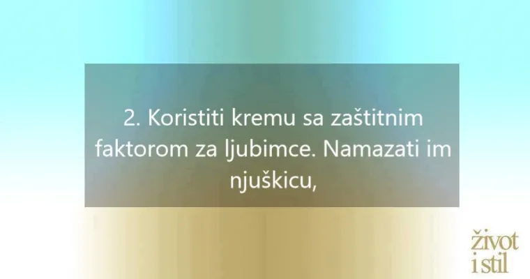 I kućni ljubimci mogu oboljeti od melanoma: ovo su simptomi raka kože kod pasa i mačaka