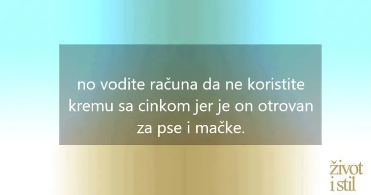 I kućni ljubimci mogu oboljeti od melanoma: ovo su simptomi raka kože kod pasa i mačaka