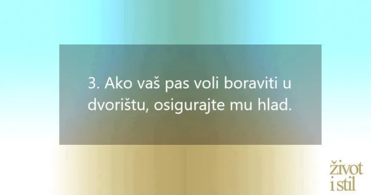 I kućni ljubimci mogu oboljeti od melanoma: ovo su simptomi raka kože kod pasa i mačaka