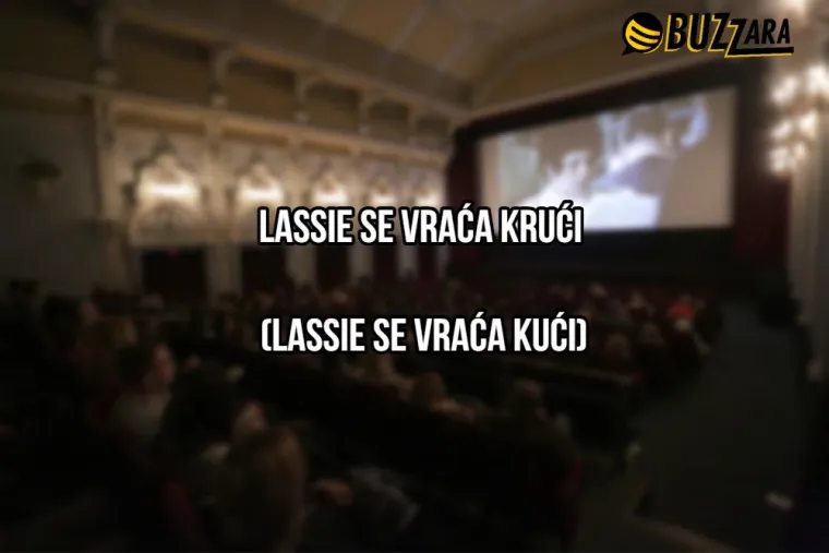 'Robin ud: Muškarci u tajnicama' i još 29 urnebesnih 'domaćih' prijevoda stranih filmova