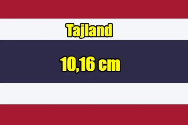 Najvi&scaron;i i najmanji u vrsti: Evo kako stoje na&scaron;i i susjedni dečki po veličini uda(va)