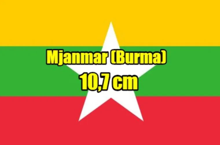 Najvi&scaron;i i najmanji u vrsti: Evo kako stoje na&scaron;i i susjedni dečki po veličini uda(va)