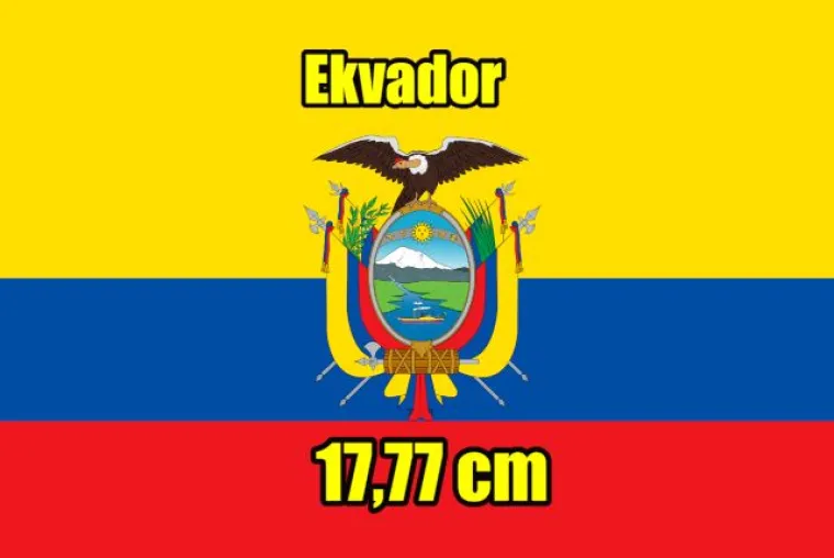 Najvi&scaron;i i najmanji u vrsti: Evo kako stoje na&scaron;i i susjedni dečki po veličini uda(va)